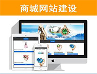 商城網(wǎng)站建設有哪些功能？