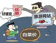 農村旅游網(wǎng)站建設及用戶(hù)體驗度的提高？