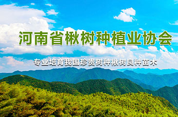 種植業(yè)網(wǎng)站開(kāi)發(fā)案例